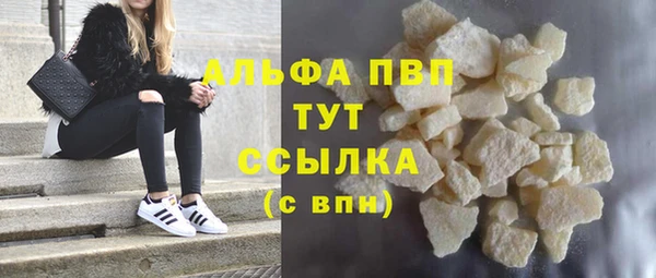 стаф Баксан
