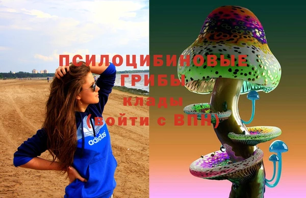 мяу мяу мука Балахна