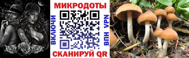 ссылка на мегу как войти Соль-Илецк Галлюциногенные грибы Cubensis